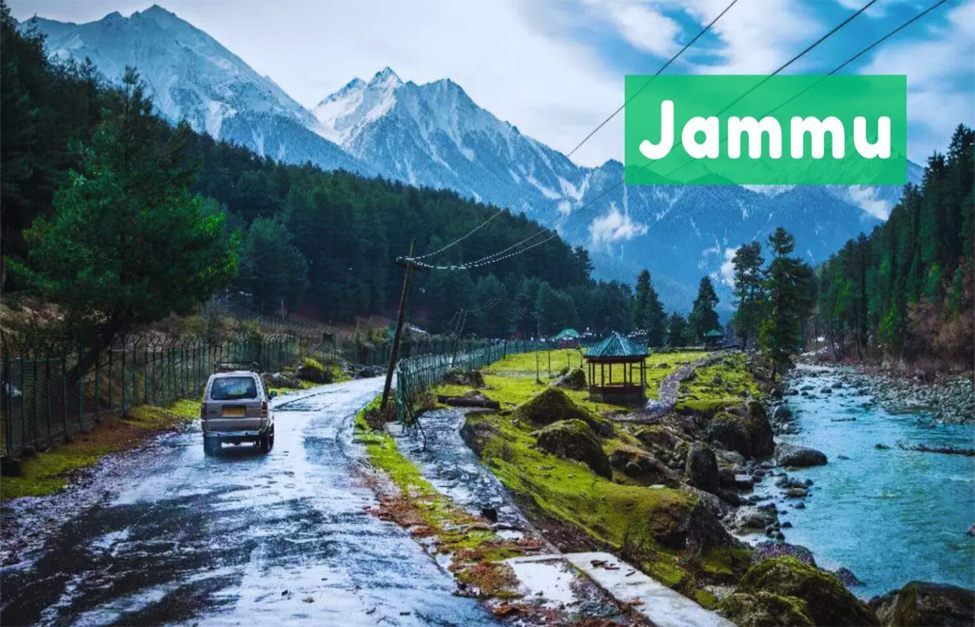 Document Translation Services In Jammu