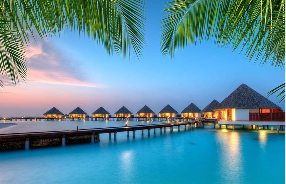 Translation Services in Kerala